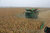 Le point sur le matériel agricole - La récolte du maïs [Blu ray]
