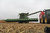 Le point sur le matériel agricole - La récolte du maïs [Blu ray]
